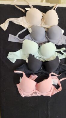Floral Lace Push-Up Bra