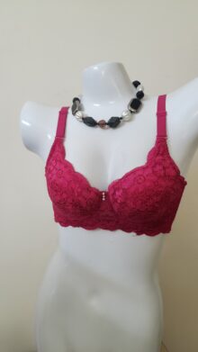 Crimson Lace Delight Bra