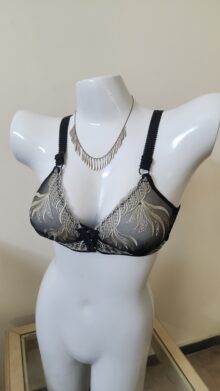 Elegant Gold Embroidered Sheer Bra