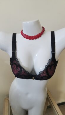 Luxury Black & Burgundy Lace Bra